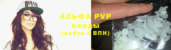 индика Балабаново