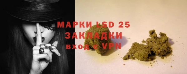 индика Балабаново