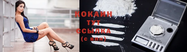 индика Балабаново
