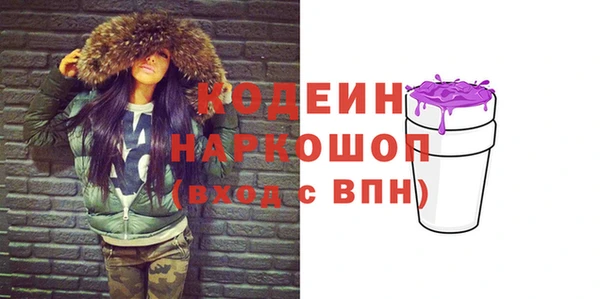 индика Балабаново