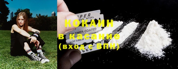 индика Балабаново
