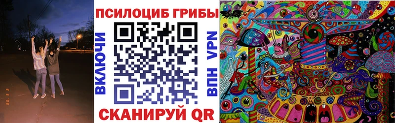 где продают наркотики  Велиж  Псилоцибиновые грибы ЛСД 