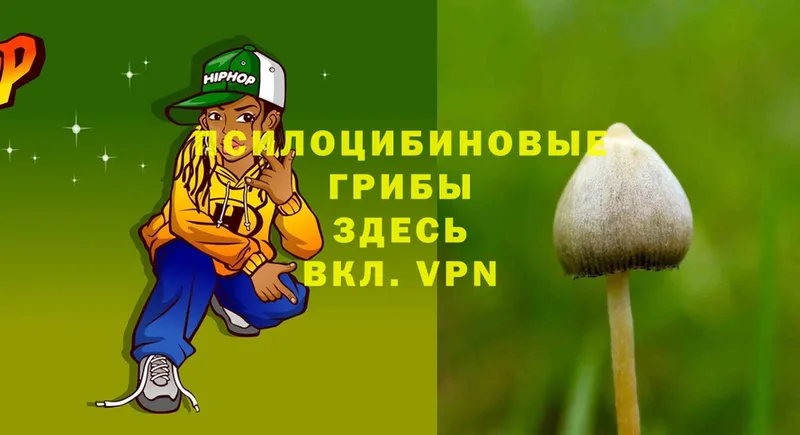 hydra tor  Велиж  Псилоцибиновые грибы Psilocybe 